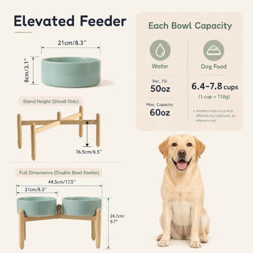 Ceramic Dog Bowls Elevated (Light Green)