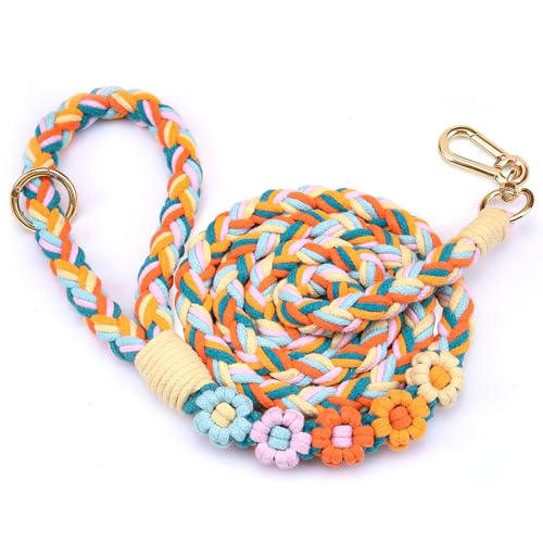 5FT Braided Cotton Rope Leash for Small (Fiesta Twist)