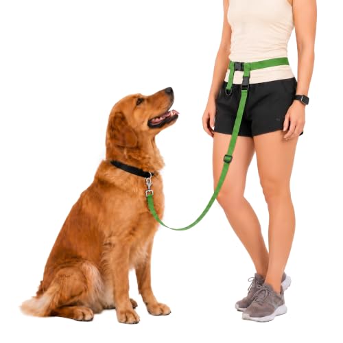 Hands Free Dog Leash (Regular Dog System (X-Large Belt (33"- 60" Waist)) / Green)