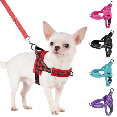 No Pull Small Dog Harness and Leash Set with Front Clip (Small / Red)