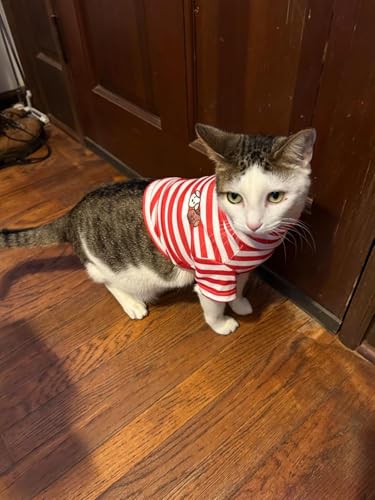 Turtleneck Dog Shirt Cute Doggie Embroidery Super Soft Dog Sweatshirt Stretchy Striped Puppy Pullover for Cats Small Medium Large Dogs (Red Striped / Medium)