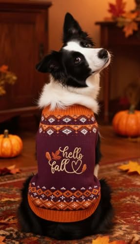 Hello Fall Leaves Thanksgiving Dog Sweater Clothes (X-Large / Hello Fall Leaves)