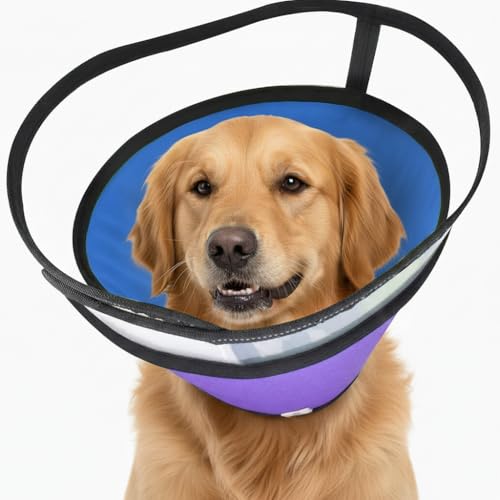 Dog Cone Collar for Medium Large Dogs (M - Neck Girth:12" - 15.7")