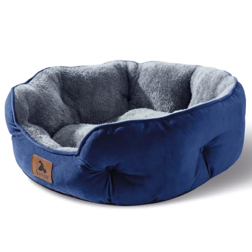 Small Dog Bed for Small Dogs (Small (Pack of 1) / Blue)