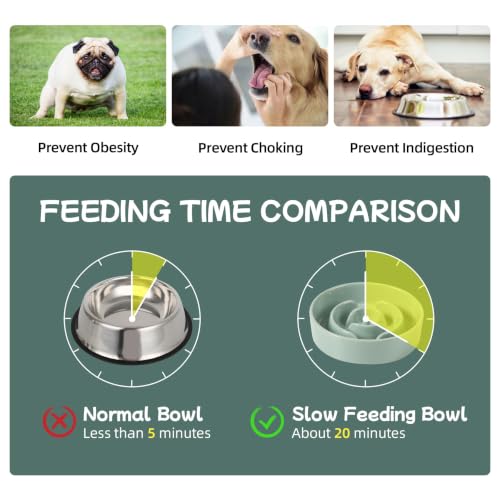 Elevated Slow Feeder Dog Bowls (Light Green)