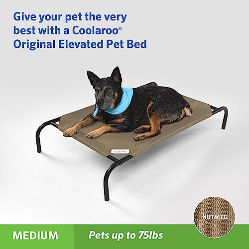 Original Elevated Dog Bed (Medium Dog Bed / Nutmeg)