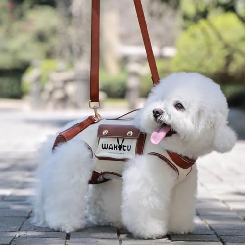 Dog Lift Harness Dog Carrier VES Harness Adjustable Leash with Small Puppy Treat Bag (X-Small(2-5 LBS) / 1.0 White)