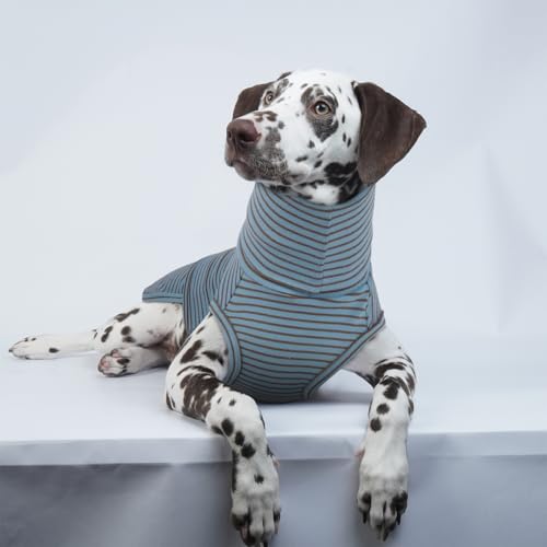 Dog Weighted Vest (S / BlueStripe)