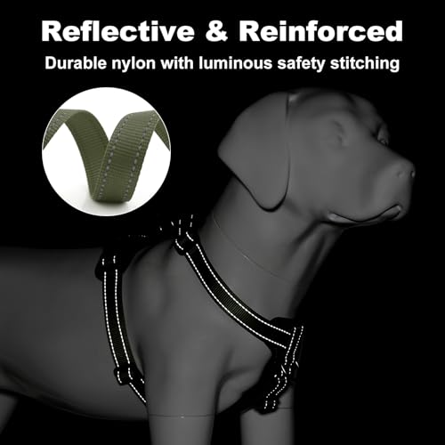 No Pull Dog Harness with Leather Accents (S / Ranger Green)