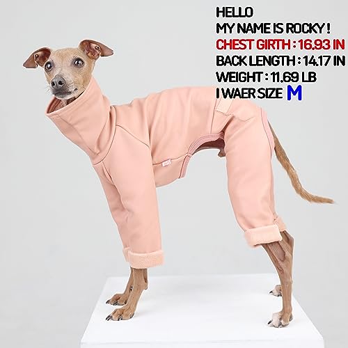 D Doggy Star Italian Greyhound Coat Stretchable Artificial Leather Fleece Lining Clothes Whippet for Dog (3XL / Leather Pink)