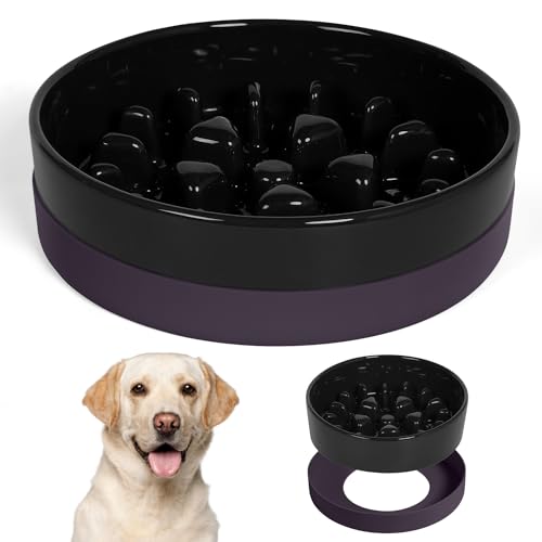Ceramic Slow Feeder Dog Bowls for Medium Large Breed (Large-9.5 inches / Black)