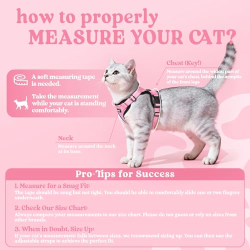 Cat Harness and Leash Set (S / Pink)