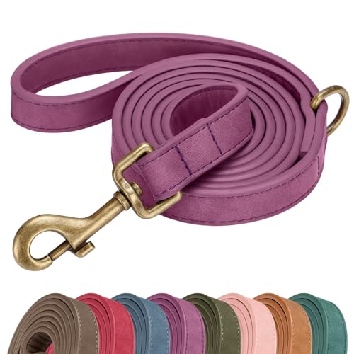 PU Leather Dog Leash for Medium Large Dogs (Purple / 3/4''x 5FT)