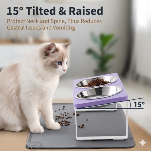 Upgraded Elevated Cat Bowls with Food Mat