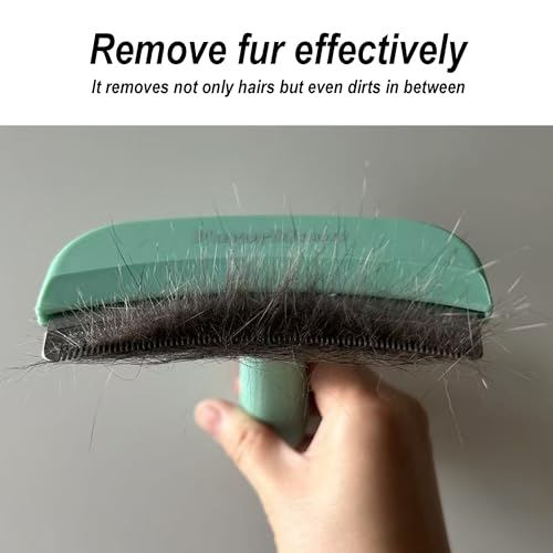 Pet Deshedding Tool with Curve Blade (Large / Green)