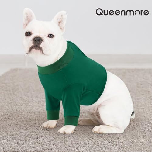 Dog Leg Sleeve to Stop Licking (Small / Green)
