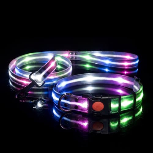 LED Dog Collar & 4 Foot Leash (Black)