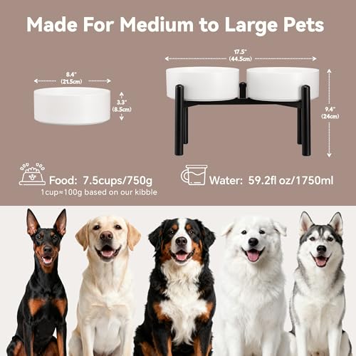 Raised Ceramic Dog Bowl Set with Stand (White / 2 Bowls - 7.5 Cups Each)