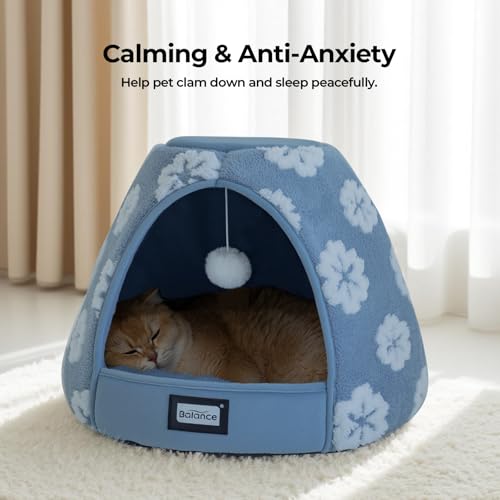 Cat Beds for Indoor Cats (19"L x 19"W x 16"Th / Blue)