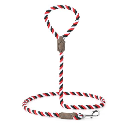Rainbow Dog Leash Braided Cotton Rope w Leather (Red/Green / 48 Inch-1/2")