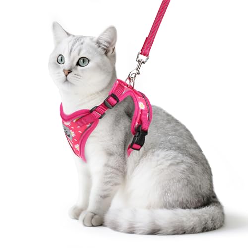 Cat Harness and Leash Set Escape Proof Reflective Cat Walking Harness Adjustable Soft Breathable Mesh Vest for Small Pets (M (NECK 11"-13.7", CHEST 16"-20") / Fuchsia Daisy)