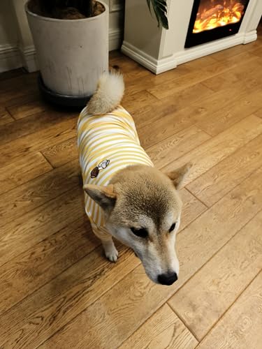 Turtleneck Dog Shirt Cute Doggie Embroidery Super Soft Dog Sweatshirt Stretchy Striped Puppy Pullover for Cats Small Medium Large Dogs (Yellow Striped / 6X-Large)