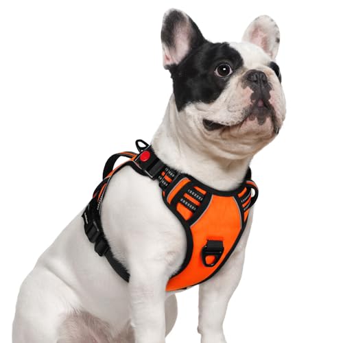 Large Dog Harness (Small / Orange)