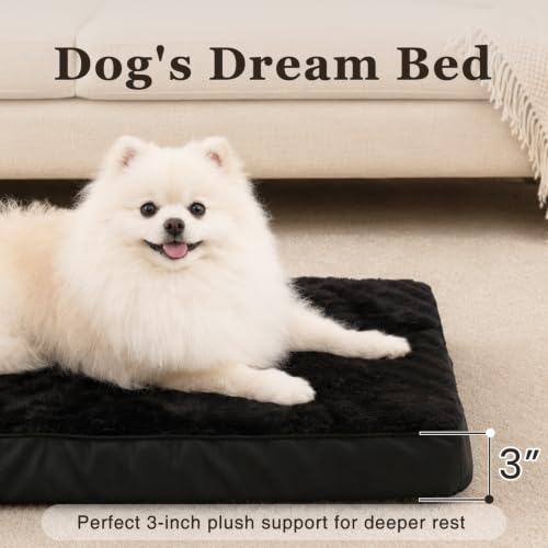 Waterproof Small Dog Bed for Crate with Washable Cover (23.0"L x 17.0"W x 3.0"Th / Black)