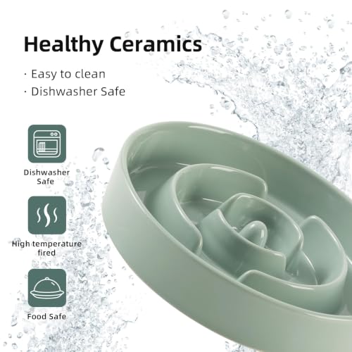 Elevated Slow Feeder Dog Bowls (Light Green)