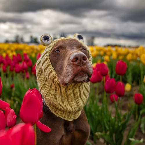 Frog Costume Knit Dog Snood Ear Wrap for Pets (Medium)