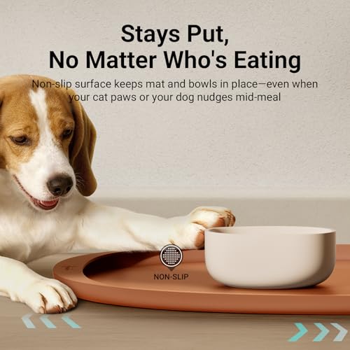Dog Food Mat Silicone Waterproof Feeding Mat (24"L x 17"W / Coral)