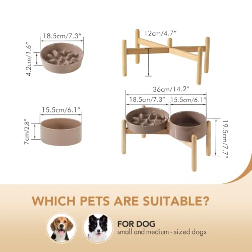 Elevated Slow Feeder Dog Bowls (Brown Coffee)