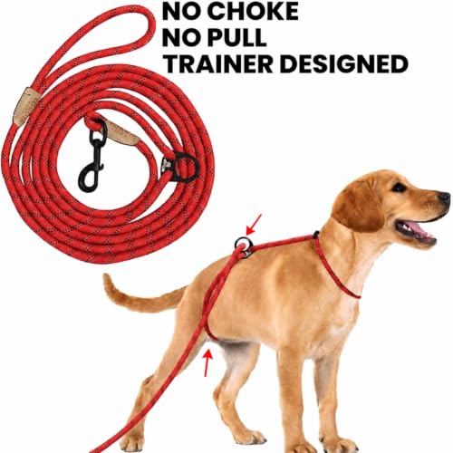 12ft No Choke Leash Long Rope Dog Leash (12 Ft / RED)