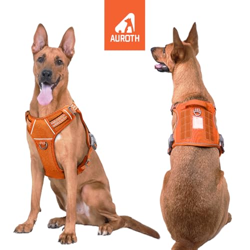 Dog Harness for Large Dogs (Orange / L(Neck:18-29",Chest:24-37"),45-80 lbs)
