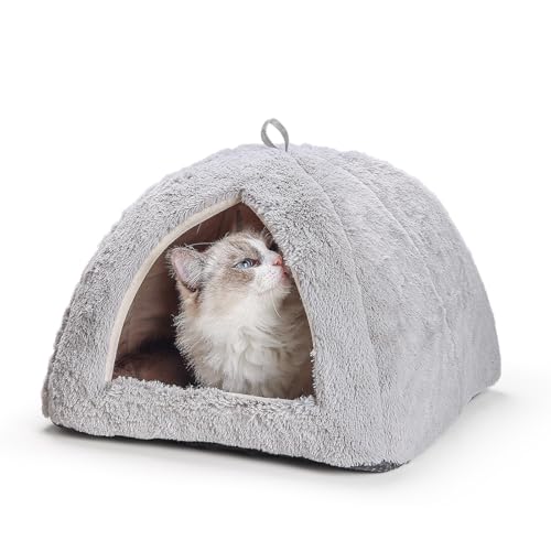 Cat Beds for Indoor Cats