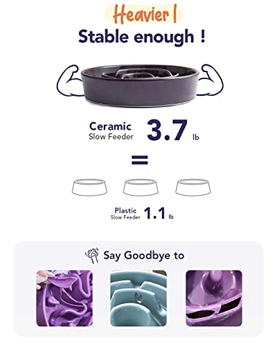 Slow Feeder Dog Bowls Ceramic (Maze Purple / L-3 Cups)