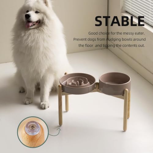 Elevated Slow Feeder Dog Bowls (Brown Coffee)