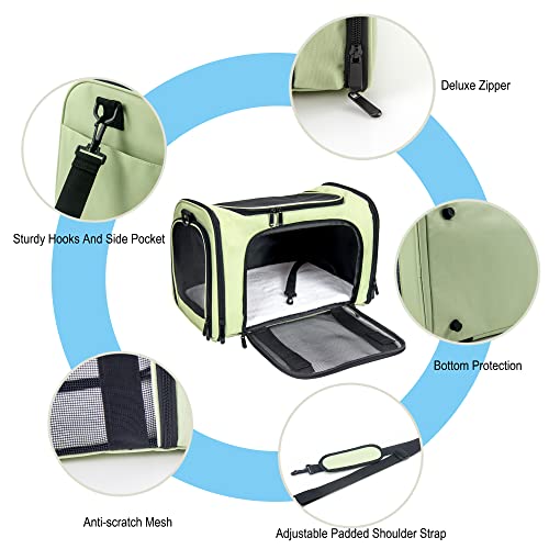 Soft Sided Carrier for Small Medium Cats Dogs (17.0"L x 11.0"W x 11.0"H / Green)