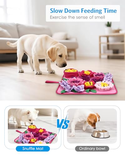Snuffle Mat for Dogs (Red)