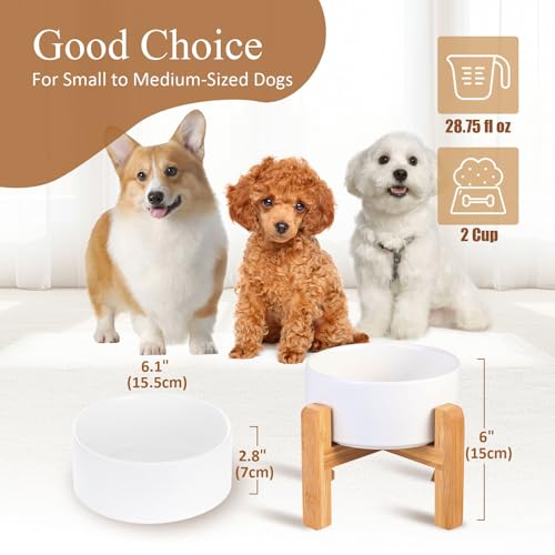 Ceramic Elevated Dog Bowl with Bamboo Stand (Medium / White)