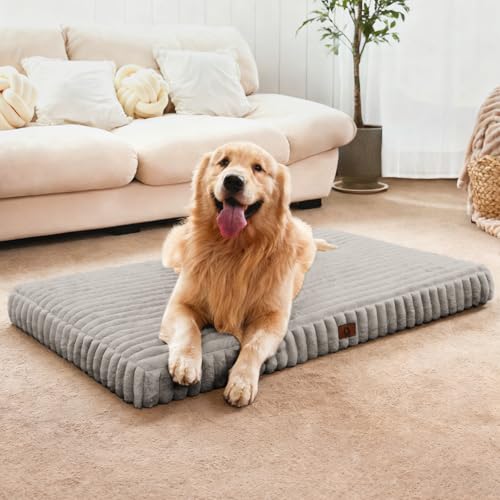 Extra Large Dog Bed Orthopedic Foam with Waterproof Lining (X-L(42"*30"*4") / Light Grey)