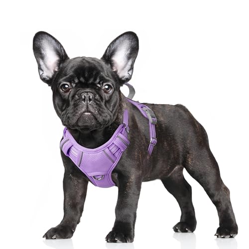 No Pull Dog Harness Large Reflective Dog Harness with Front Clip and Easy Control Handle for Walking Training Running with ID tag Pocket (Violet Purple / Small)