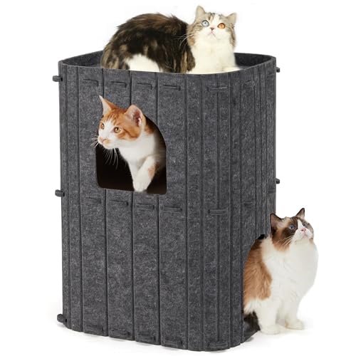 Cat House for Indoor Cats