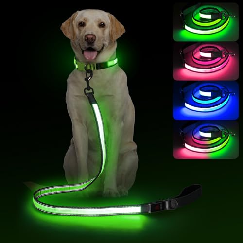 4 Ft Multi Color Light up Dog Leash (4 FT (Gray))