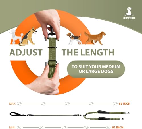 Double Dog Leash for 2 Dogs (Green Range)