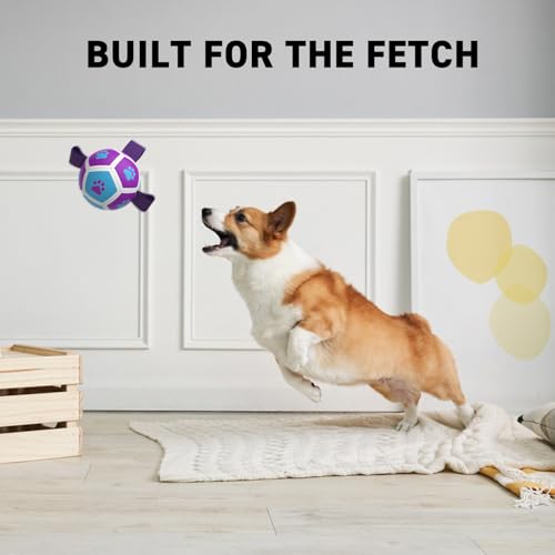Small Dog Toys (Purple Blue / 3.5 Inch)