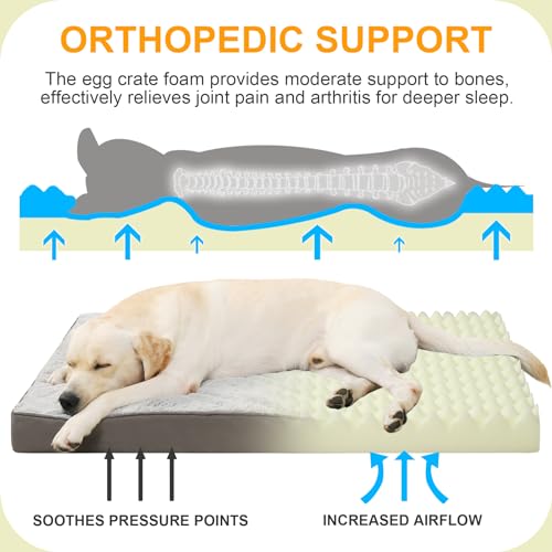 Orthopedic Dog Bed (Light Grey / 41.0"L x 27.0"W x 3.0"Th)