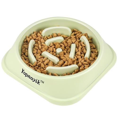 Slow Feeder Dog Bowls for Large Dogs (Large / Green)