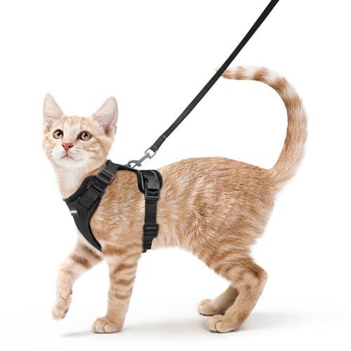 Cat Harness and Leash Set (S / Black)