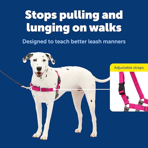 Easy Walk Harness (Medium/Large / Raspberry/Gray)